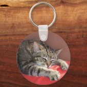 睡眠虎猫 キーホルダー (正面)