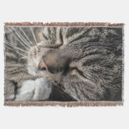 睡眠虎猫 スローブランケット