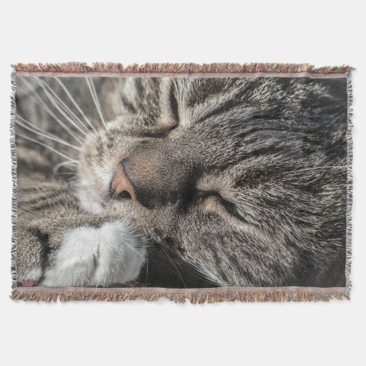 睡眠虎猫 スローブランケット (正面)