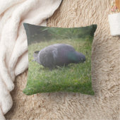 睡眠鳩まくら クッション (ブランケット)