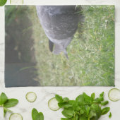 睡眠鳩キッチンタオル キッチンタオル (折り畳み)