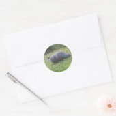 睡眠鳩ステッカー ラウンドシール (封筒)