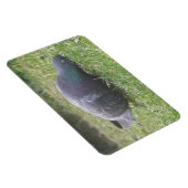 睡眠鳩プレミアムマグネット マグネット (右側)