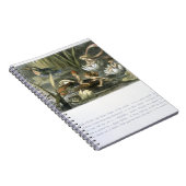 睡蓮と水妖精、イラストレーション ノートブック (右側)