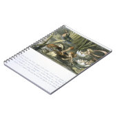 睡蓮と水妖精、イラストレーション ノートブック (左側)