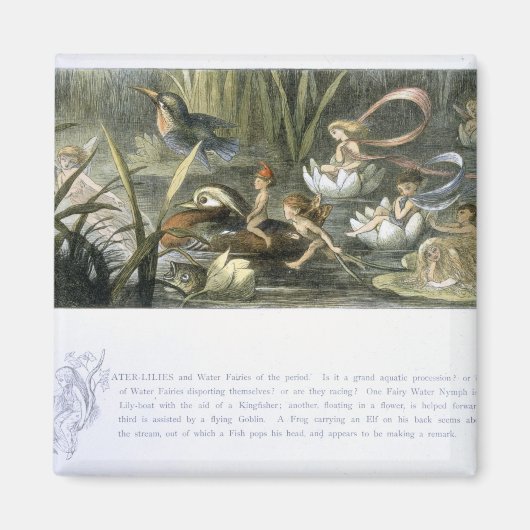 睡蓮と水妖精、イラストレーション マグネット (正面)