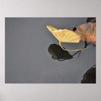 睡蓮のポスター ポスター