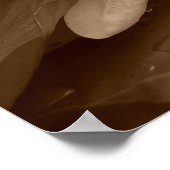 睡蓮のポスター ポスター (角)