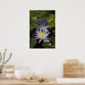 睡蓮のポスター ポスター (キッチン)