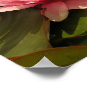 睡蓮のポスター ポスター (角)