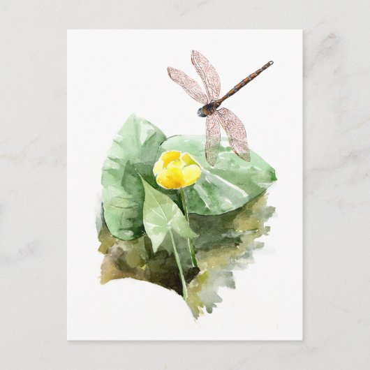 睡蓮の水彩画 ポストカード (正面)