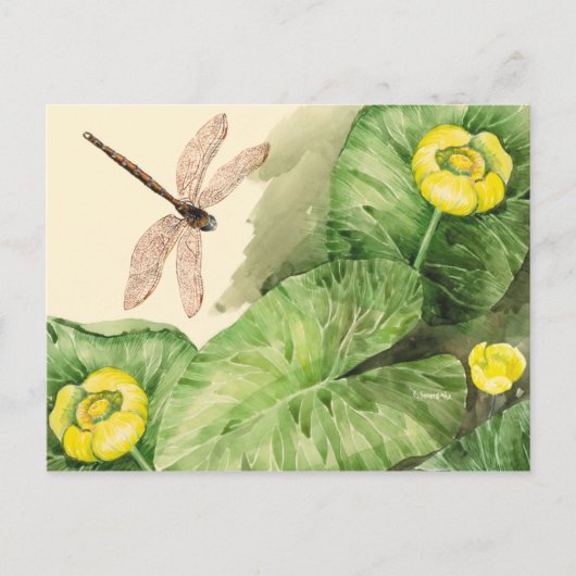 睡蓮の水彩画 ポストカード (正面)