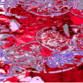 睡蓮の池 キャンバスプリント