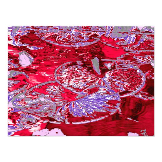 睡蓮の池 フォトプリント            (正面)