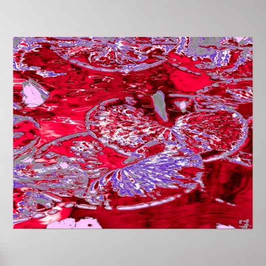 睡蓮の池 ポスター (正面)