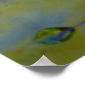 睡蓮の花 ポスター (角)