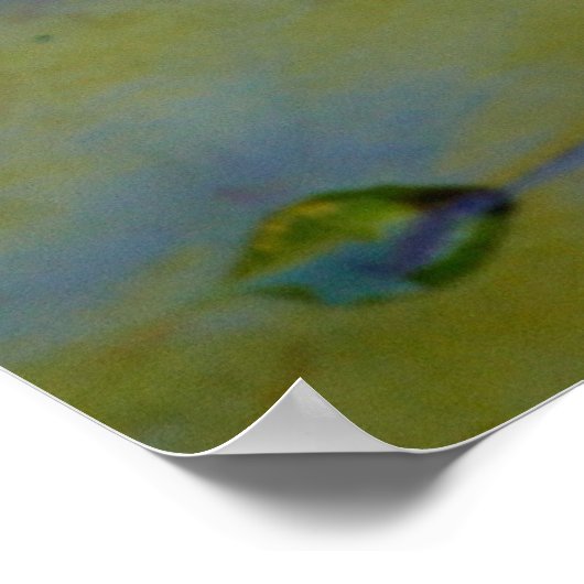 睡蓮の花 ポスター (角)