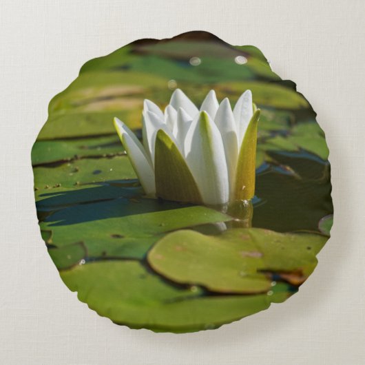 睡蓮の花 ラウンドクッション (裏面)