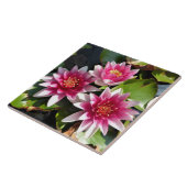 睡蓮の開花 タイル (側面)