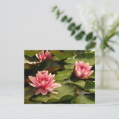 睡蓮カード ポストカード (スタンド正面)