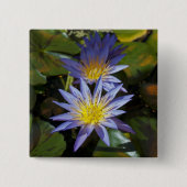 睡蓮ボタン 缶バッジ (正面)