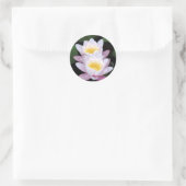 睡蓮ラウンドステッカー ラウンドシール (バッグ)