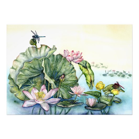 睡蓮日本のと蓮の花 フォトプリント            (正面)