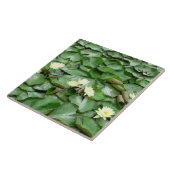 睡蓮 タイル (側面)