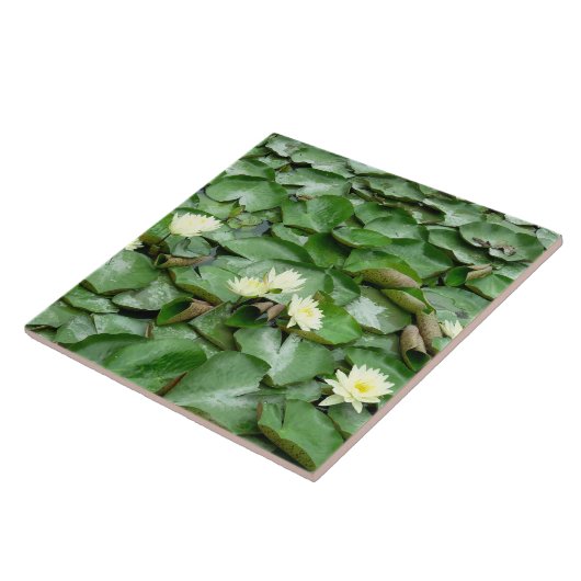 睡蓮 タイル (側面)