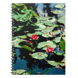 睡蓮 ノートブック