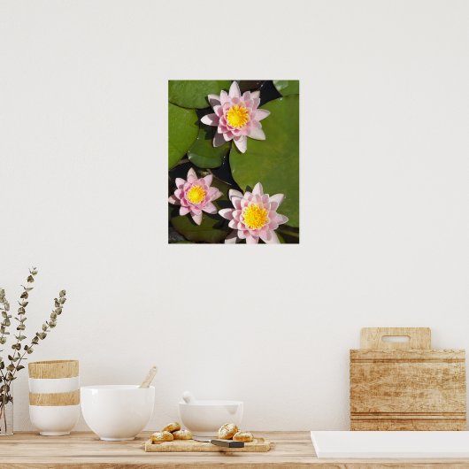 睡蓮 ポスター (キッチン)