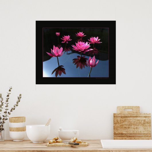 睡蓮 ポスター (キッチン)