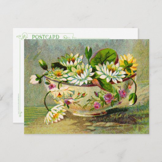 睡蓮 ポストカード (正面/裏面)