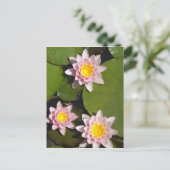 睡蓮 ポストカード (スタンド正面)