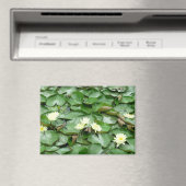 睡蓮 マグネット (インサイチュ (食洗機))