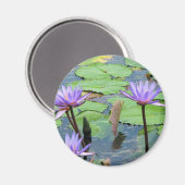 睡蓮 マグネット (正面/裏面)
