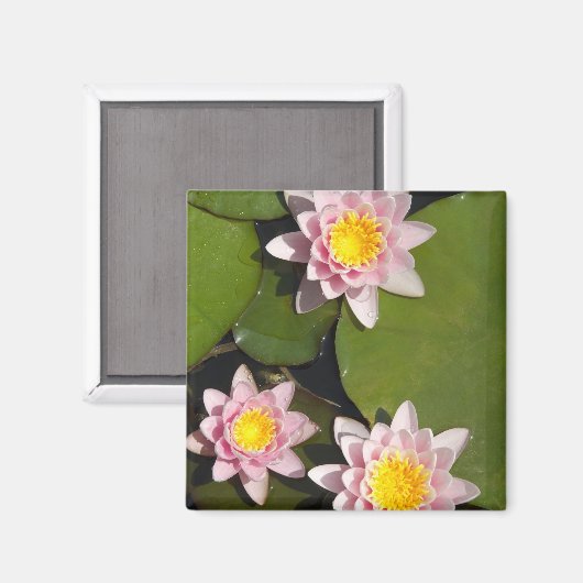 睡蓮 マグネット (正面/裏面)