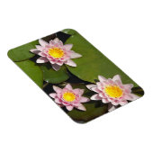 睡蓮 マグネット (右側)