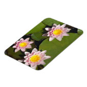 睡蓮 マグネット (左側)