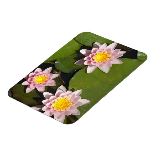 睡蓮 マグネット (左側)