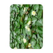 睡蓮 マグネット (縦)