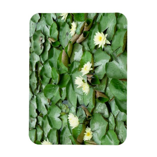 睡蓮 マグネット (縦)