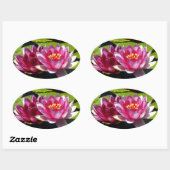 睡蓮 楕円形シール (シート)