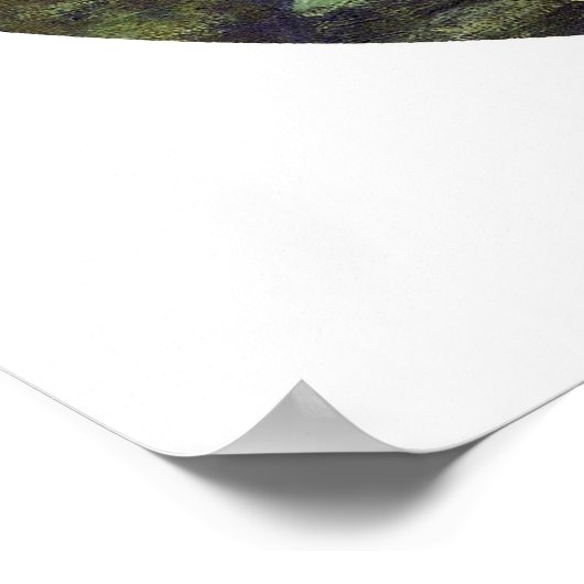 睡蓮、1908年 ポスター (角)