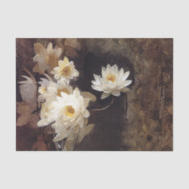 睡蓮(Abbott Henderson Thayer) 薄葉紙