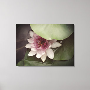 睡蓮Lotus Photographyウォールアート キャンバスプリント