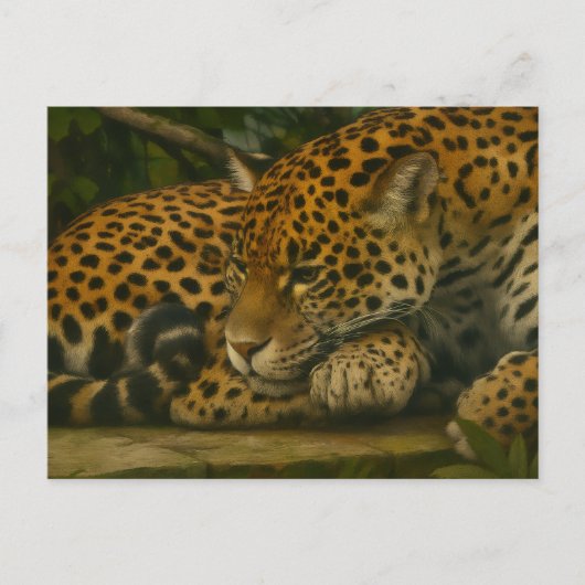 瞑想するジャガー 静謐な野生動物アートプリント ポストカード (正面)