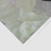 瞑想ティッシュペーパー 薄葉紙 (詳細)