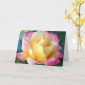 瞑想バラ カード (黄色い花)