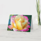 瞑想バラ カード (正面)